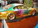 DSC03231.jpg
