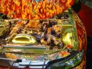 DSC03234.jpg