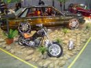 DSC03268.jpg