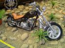 DSC03269.jpg