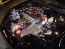 DSC03479.jpg